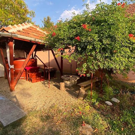 Arpad Nyaralohaz Villa Sarud Exterior photo
